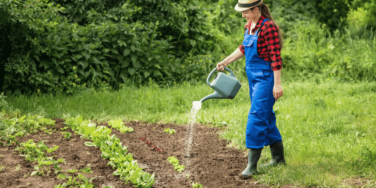 آماده‌سازی باغ برای هوای گرم، خشک و بارانی؛ نکات و راهکارها